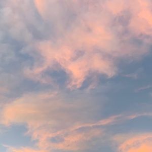 Meet your Posher, Edy